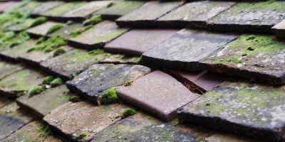 Lower Sundon roof repair costs